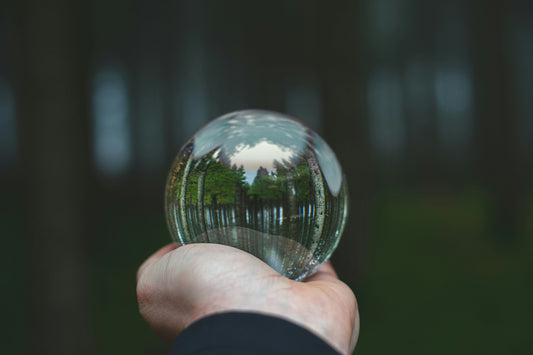 Why Transparent Sourcing Matters for Your Vitamins